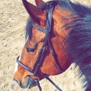 🚨CLOSET CLOSEOUT🚨